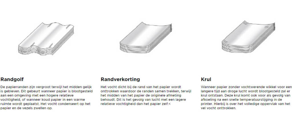tekst-cta-image_kromtrekken-van-papier.jpg tekst-cta-image_kromtrekken-van-papier.jpg